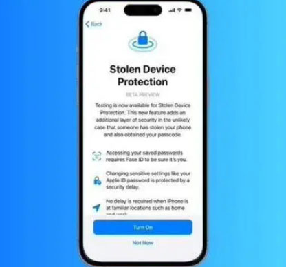 大埔苹果授权维修店分享被盗设备保护功能开启方法