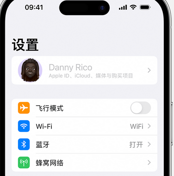 大埔appleID维修服务iPhone设置中Apple ID显示为灰色无法使用 