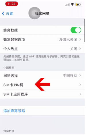 大埔苹果14维修网分享如何给iPhone14的SIM卡设置密码 