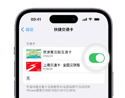 大埔apple维修点分享iPhone上更换Apple Pay快捷交通卡手绘卡面 