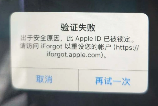 大埔iPhone维修分享iPhone上正常登录或使用AppleID怎么办 