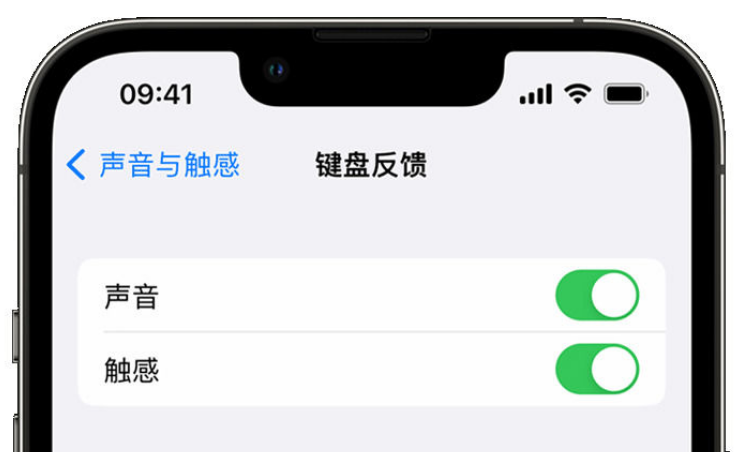 大埔苹果手机维修分享iPhone 14触感键盘使用方法 