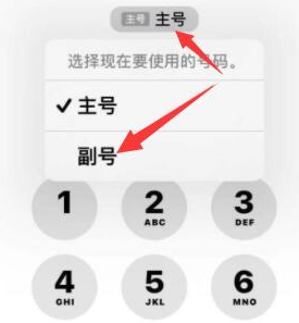 大埔苹果14维修店分享iPhone 14 Pro Max使用副卡打电话的方法 