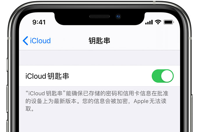 大埔苹果手机维修分享在 iPhone 上开启 iCloud 钥匙串之后会储存哪些信息 