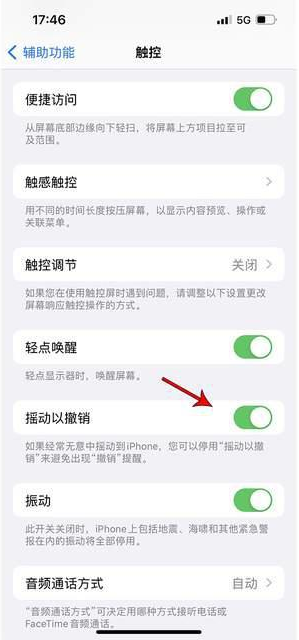 大埔苹果手机维修分享iPhone手机如何设置摇一摇删除文字 