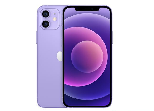 大埔苹果手机维修分享现阶段要不要入手紫色版iPhone12 