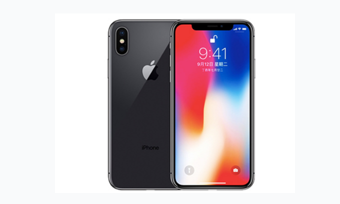 大埔苹果手机维修分享iPhone X换电池 